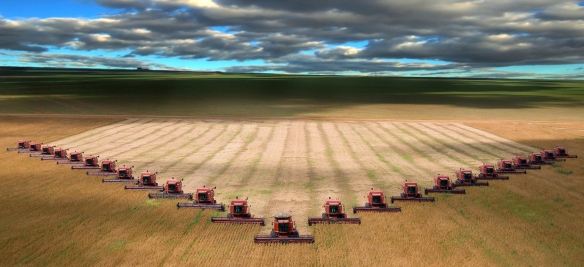 field harvest multiple tractors crop