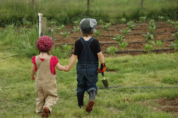 Kids on farm